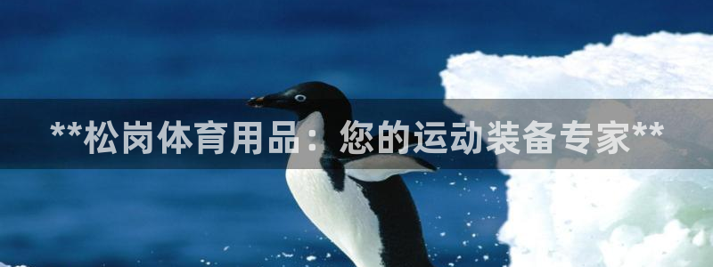 欧陆官方网站：**松岗体育用品：您的运动装备专家**