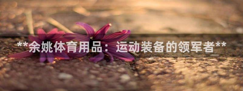 欧陆娱乐官网首页下载：**余姚体育用品：运动装备的领