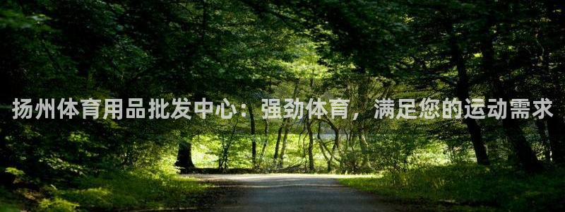 欧陆娱乐登录平台有哪些：扬州体育用品批发中心：强劲体