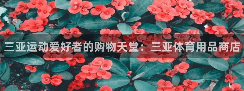 欧陆娱乐安全?：三亚运动爱好者的购物天堂：三亚体育用