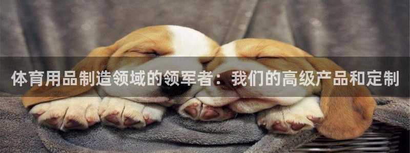 欧陆娱乐app攻略下载：体育用品制造领域的领军者：我