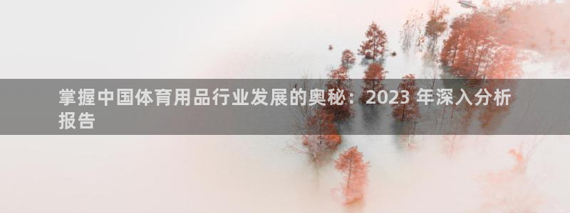 欧陆娱乐怎么注册账号登录：掌握中国体育用品行业发展的