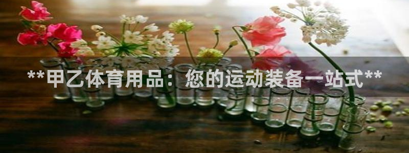 欧陆娱乐怎么注册账号啊：**甲乙体育用品：您的运动装