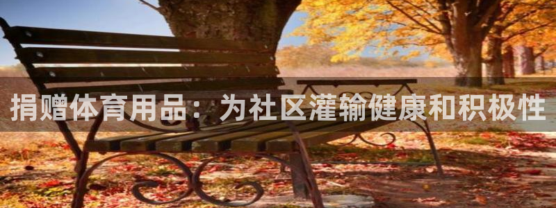 欧陆娱乐平台总代理：捐赠体育用品：为社区灌输健康和积