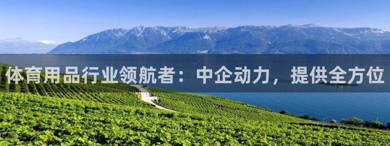 欧陆娱乐平台登陆地址是什么：体育用品行业领航者：中企