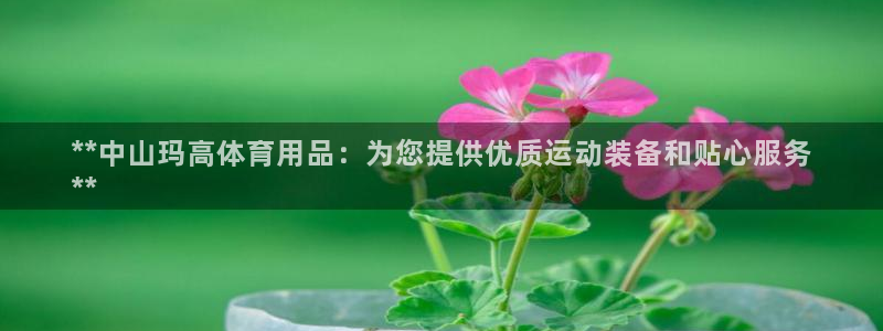 欧陆娱乐注册链接怎么弄的：**中山玛高体育用品：为您