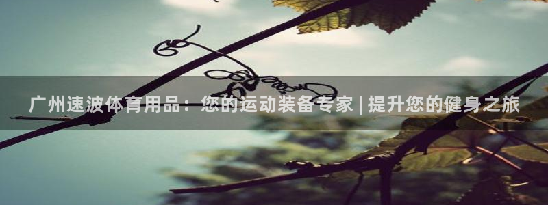 欧陆娱乐脚本怎么下载：广州速波体育用品：您的运动装备