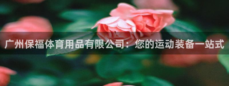 欧陆娱乐是那个旗下的品牌公司：广州保福体育用品有限公