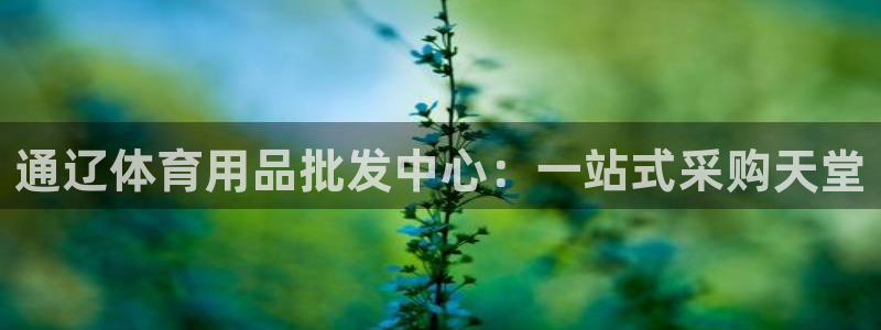 欧陆娱乐能赚钱吗现在：通辽体育用品批发中心：一站式采
