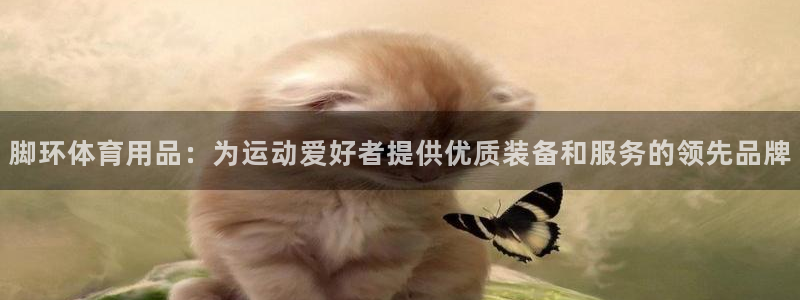 欧陆娱乐平台登陆地址在哪里：脚环体育用品：为运动爱好