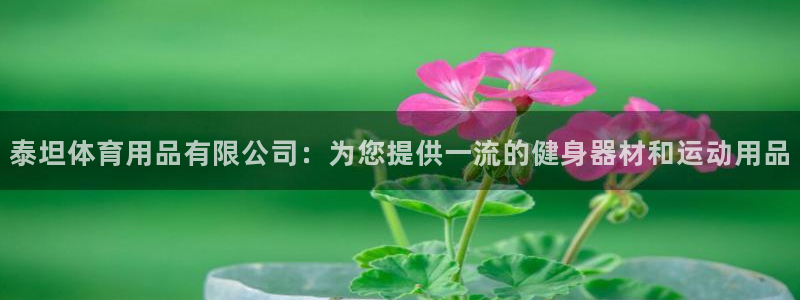 欧陆娱乐测速：泰坦体育用品有限公司：为您提供一流的健身器材和