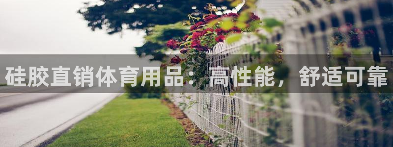 欧陆娱乐总代：硅胶直销体育用品：高性能，舒适可靠