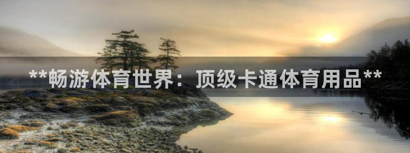 欧陆娱乐百科：**畅游体育世界：顶级卡通体育用品**