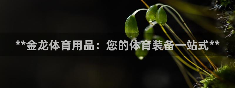 欧陆娱乐登陆官网：**金龙体育用品：您的体育装备一站