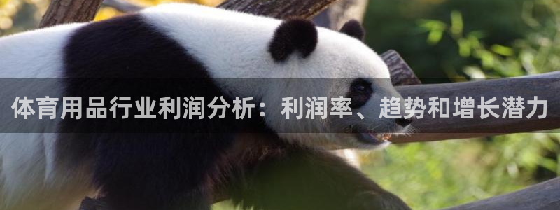 欧陆娱乐登录测速软件：体育用品行业利润分析：利润率、