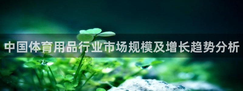欧陆娱乐官方网站入口：中国体育用品行业市场规模及增长