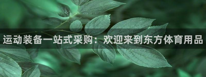 欧陆娱乐挂机项目怎么弄：运动装备一站式采购：欢迎来到