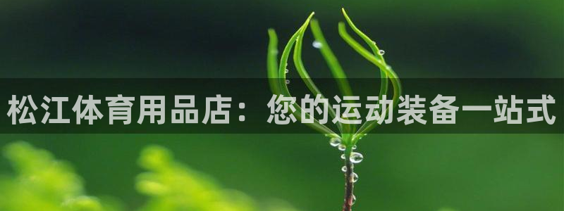 欧陆娱乐平台登录不上去怎么办：松江体育用品店：您的运