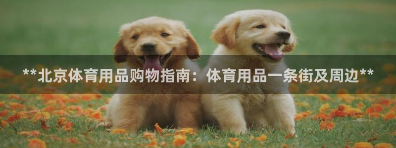 欧陆娱乐平台咋样赚钱快：**北京体育用品购物指南：体