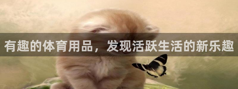欧陆娱乐官网网址是多少：有趣的体育用品，发现活跃生活