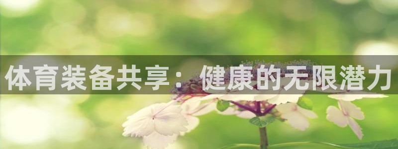 欧陆娱乐是那个旗下的品牌公司：体育装备共享：健康的无