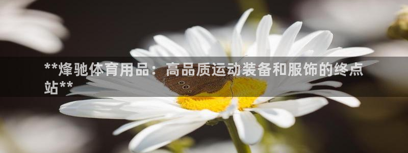 欧陆娱乐能提现嘛安全吗：**烽驰体育用品：高品质运动