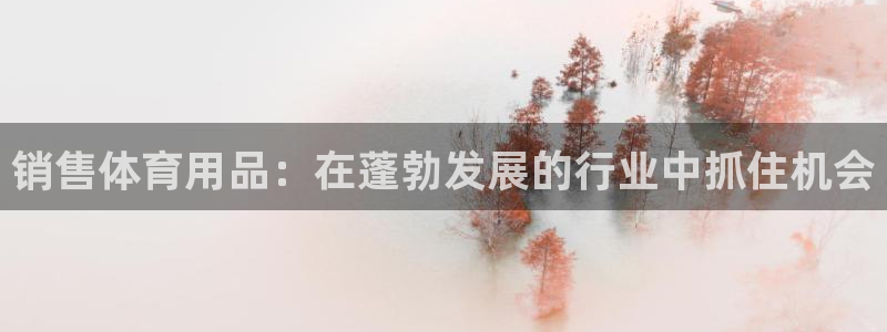 欧陆娱乐安全?：销售体育用品：在蓬勃发展的行业中抓住