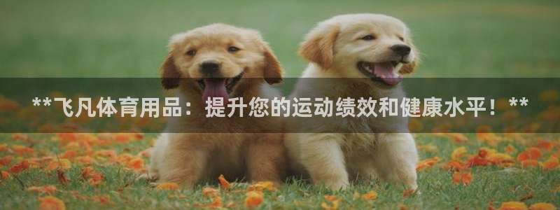 欧陆娱乐官网下载安装最新版：**飞凡体育用品：提升您