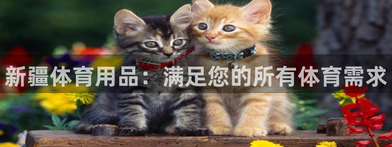 欧陆娱乐挂机项目有哪些：新疆体育用品：满足您的所有体