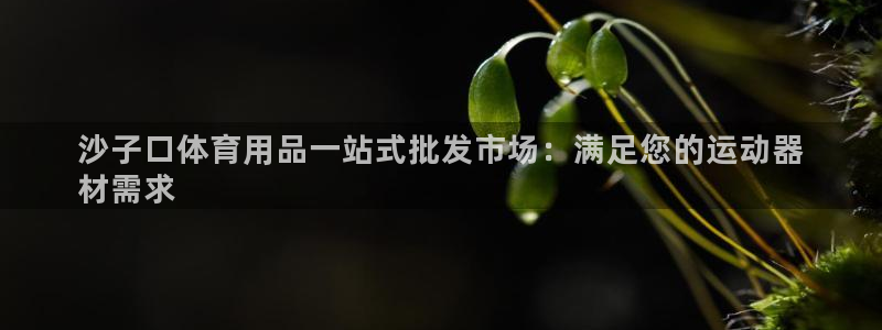 欧陆娱乐官网下载安装最新版苹果：沙子口体育用品一站式