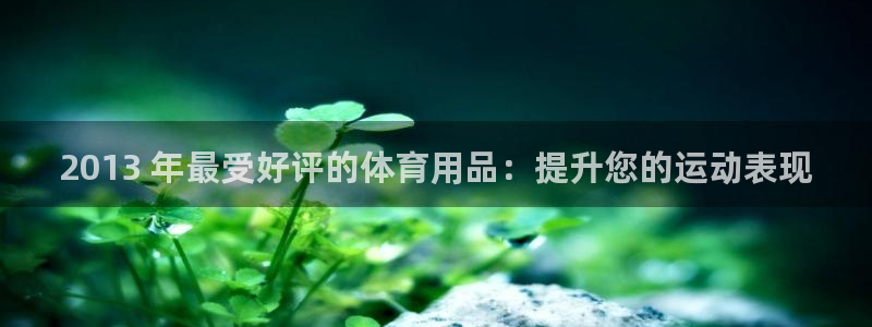欧陆娱乐群里怎么进：2013 年最受好评的体育用品：