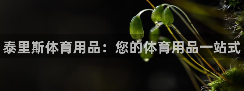 欧陆娱乐怎么注册账号：泰里斯体育用品：您的体育用品一