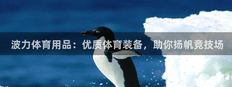 欧陆娱乐登陆官网： 波力体育用品：优质体育装备，助你