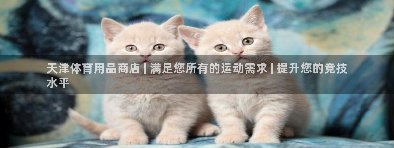 欧陆娱乐登录平台：天津体育用品商店 | 满足您所有的