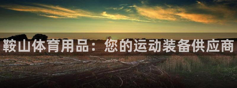 欧陆娱乐官方：鞍山体育用品：您的运动装备供应商