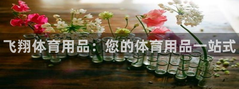 欧陆娱乐官网下载安装最新版苹果：飞翔体育用品：您的体