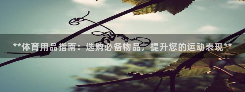 欧陆娱乐是干什么的：**体育用品指南：选购必备物品，