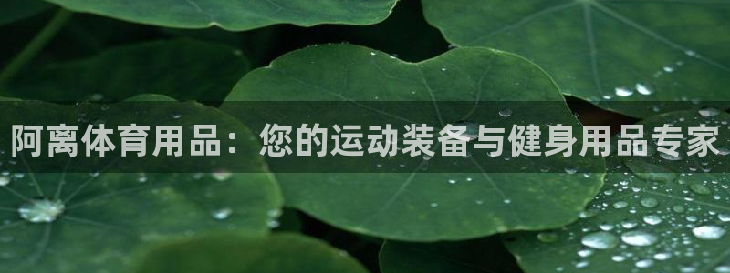 欧陆娱乐是那个旗下的品牌：阿离体育用品：您的运动装备