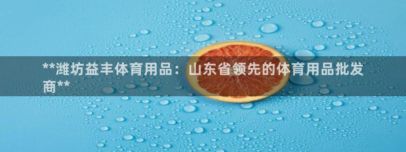 重庆欧陆娱乐有限公司：**潍坊益丰体育用品：山东省领