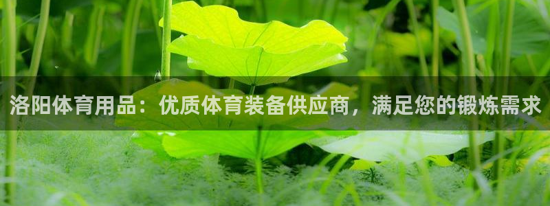 欧陆娱乐平台咋样：洛阳体育用品：优质体育装备供应商，