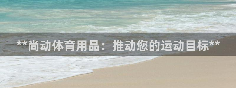 欧陆娱乐打什么方案赚钱：**尚动体育用品：推动您的运