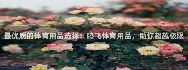 欧陆娱乐官网注册中心下载：最优质的体育用品选择：腾飞