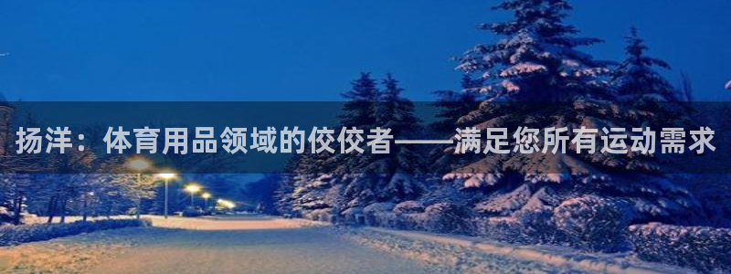 欧陆娱乐是正规平台吗安全吗可靠吗可信吗：扬洋：体育用