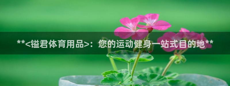 欧陆娱乐平台登录不上怎么回事：**<镒君体育用品>：