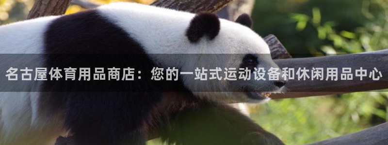 欧陆娱乐是正规平台吗安全吗可信吗知乎：名古屋体育用品