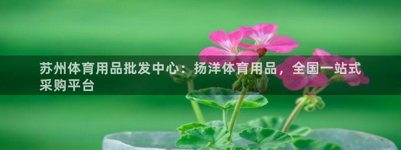 欧陆娱乐平台登录不上：苏州体育用品批发中心：扬洋体育