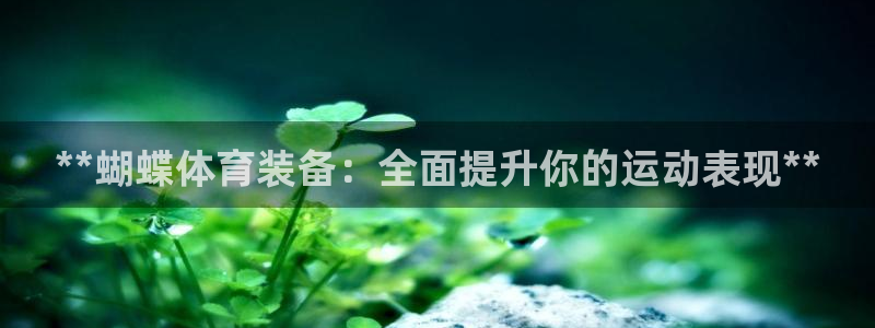 欧陆娱乐挂机项目：**蝴蝶体育装备：全面提升你的运动