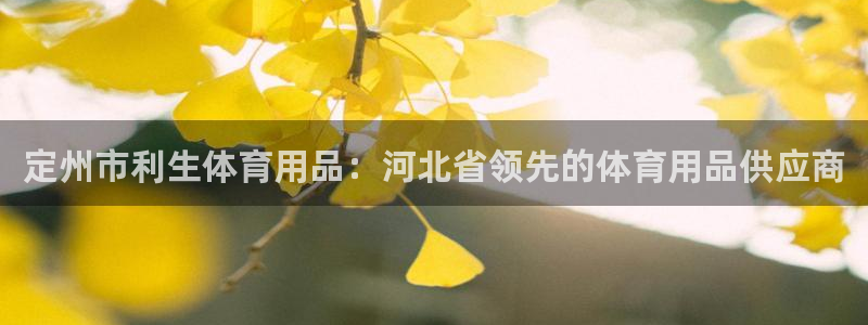 欧陆娱乐怎么注册：定州市利生体育用品：河北省领先的体