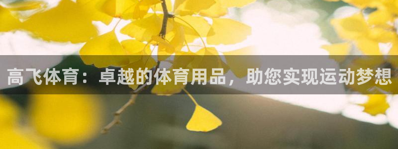 欧陆娱乐平台登录不上去了：高飞体育：卓越的体育用品，