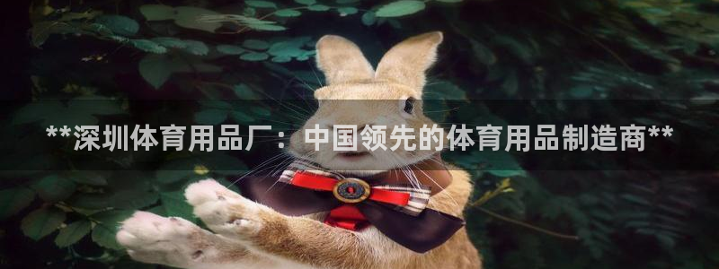 欧陆娱乐里面怎么看打排五：**深圳体育用品厂：中国领